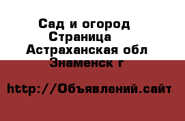  Сад и огород - Страница 2 . Астраханская обл.,Знаменск г.